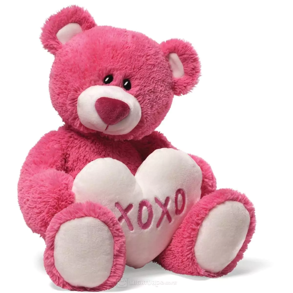 cute pink teddy bear dp
